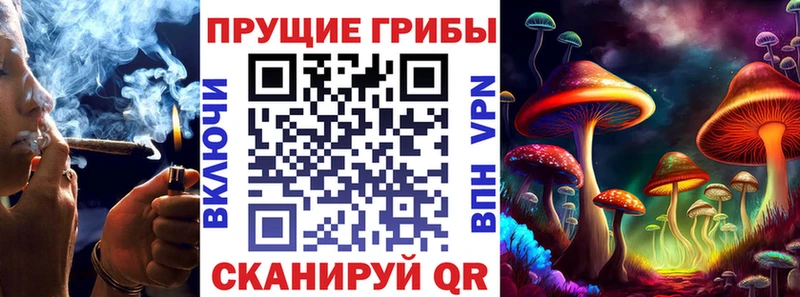 Псилоцибиновые грибы прущие грибы  купить закладку  Гдов 